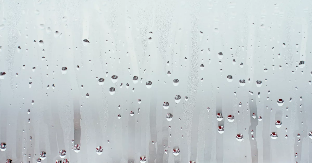 Condensation sur les fenêtres : causes, risques et solutions durables